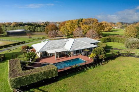 Photo of property in 204 Racecourse Road, Cambridge, 3493