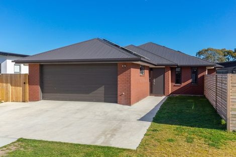 Photo of property in 22 Grigg Drive, Witherlea, Blenheim, 7201