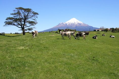 Photo of property in 343 Opunake Road, Cardiff, Stratford, 4391