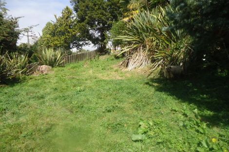 Photo of property in 24 Galway Crescent, Putaruru, 3411