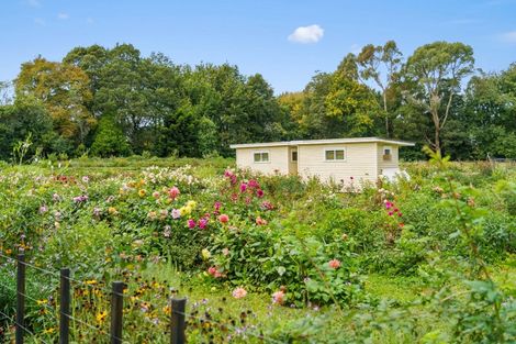 Photo of property in 288 Oropi Gorge Road, Oropi, Tauranga, 3173