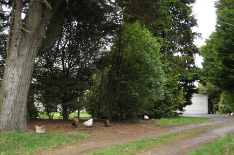 Photo of property in 81 Boxall Street, Tisbury, Invercargill, 9877