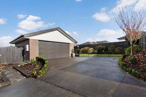 Photo of property in 19 Parkgrove Crescent, Pokeno, 2402