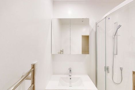 Photo of property in 195a Vivian Street, Te Aro, Wellington, 6011