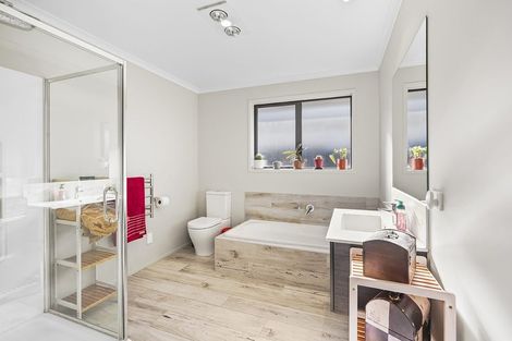 Photo of property in 21 Naismith Street, Chartwell, Hamilton, 3210