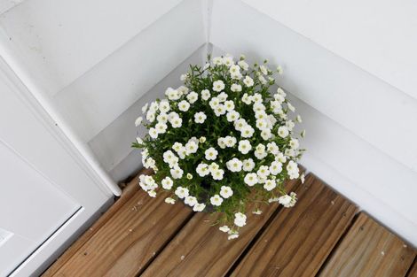 Photo of property in 101 Hawkridge Heights, Bethlehem, Tauranga, 3110