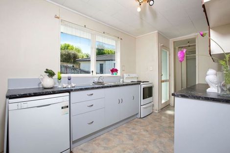Photo of property in 17 Magdalen Place, West Harbour, Auckland, 0618