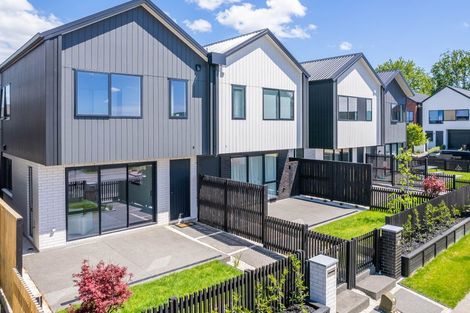 Photo of property in 50 Musselwhite Terrace, Chartwell, 3210