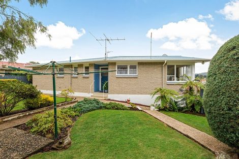 Photo of property in 51 Elwyn Crescent, Green Island, Dunedin, 9018