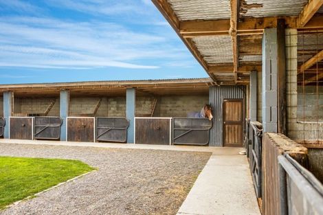 Photo of property in 856 Rang Leithfield Road, Leithfield, Amberley, 7481