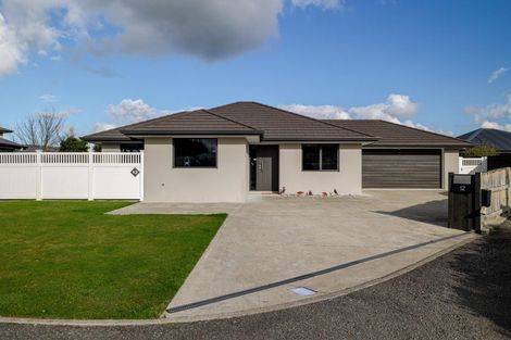 Photo of property in 12 Peckham Lane, Ashhurst, 4810