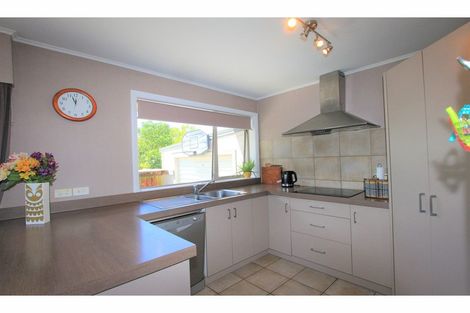 Photo of property in 25 Ward Street, Springlands, Blenheim, 7201