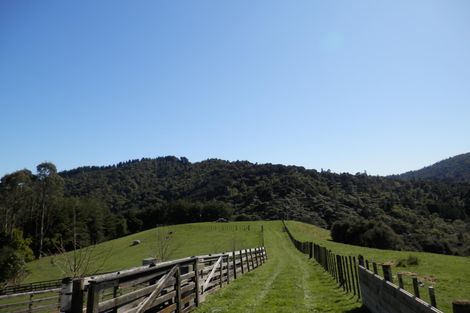Photo of property in 473a Waingaro Road, Ngaruawahia, 3793