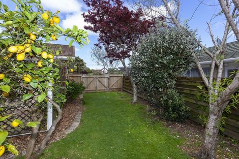 Photo of property in 57 Belvedere Avenue, Waikanae, 5036