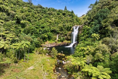 Photo of property in 371 Esdaile Road, Whakamarama, Tauranga, 3180