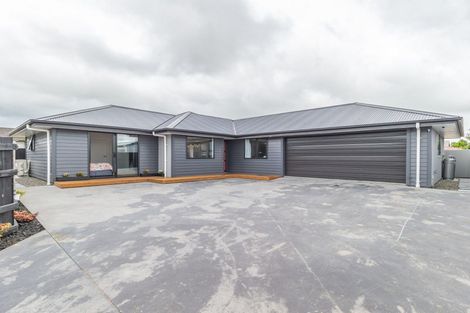 Photo of property in 202a Bath Street, Levin, 5510