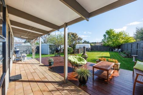 Photo of property in 141 Oxford Street, Ashhurst, 4810