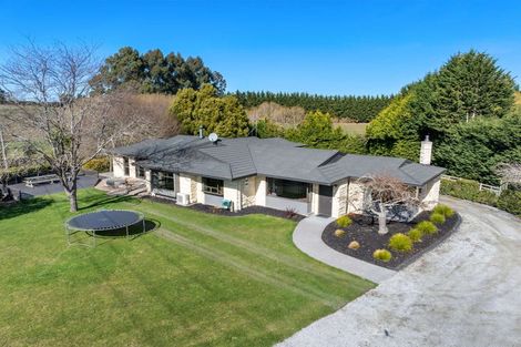Photo of property in 297 Homestead Road, Weston, Oamaru, 9491