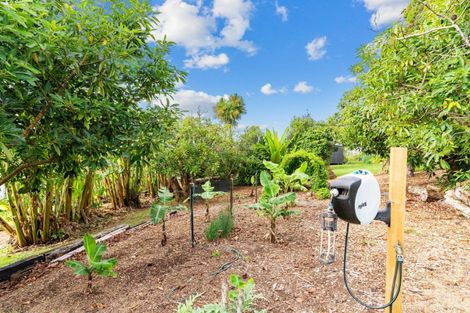 Photo of property in 391 Tara Road, Mangawhai, Kaiwaka, 0573