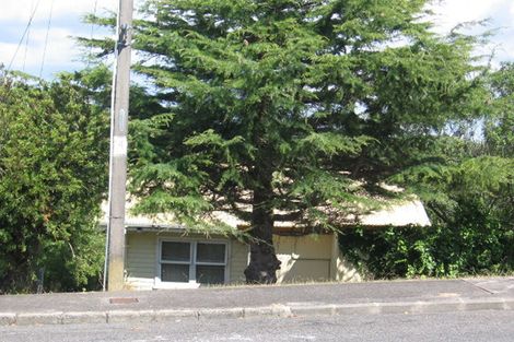 Photo of property in 28 Ellis Avenue, Mount Roskill, Auckland, 1041