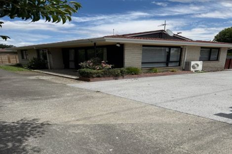 Photo of property in 49a Te Aute Road, Havelock North, 4130