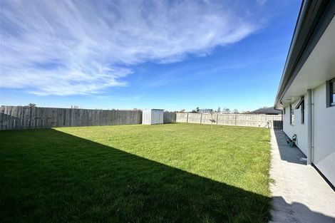 Photo of property in 20 Waterford Road, Tinwald, Ashburton, 7700