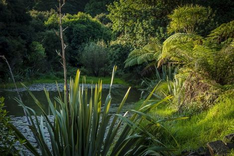 Photo of property in 14 Ohuka Place, Whitianga, 3510