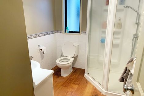 Photo of property in 42c Willoughby Street, Whitiora, Hamilton, 3200