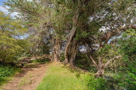 Photo of property in 38 Robinson Road, Whitianga, 3510