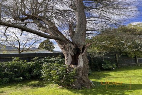 Photo of property in 19 Tawa Street, Kaikohe, 0405