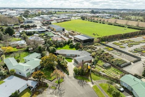 Photo of property in 9 Patea Place, Terrace End, Palmerston North, 4410