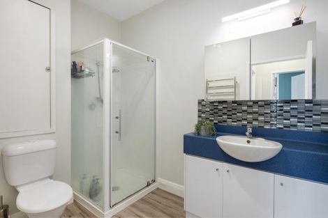 Photo of property in Hanson House, 1a/27 Hanson Street, Mount Cook, Wellington, 6021