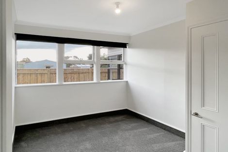 Photo of property in 107 Limbrick Street, Terrace End, Palmerston North, 4410