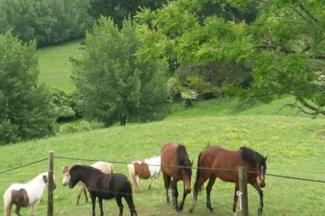 Photo of property in 44 Slater Road, Ruawaro, Huntly, 3772