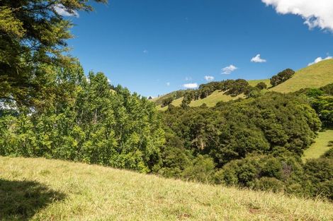 Photo of property in 49 Mangotahi Road, Thames, 3577