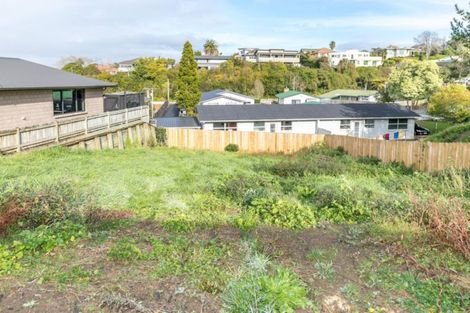 Photo of property in 11a Ridout Street, Maeroa, Hamilton, 3200