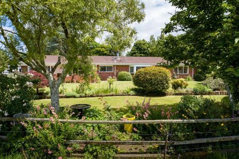 Photo of property in 113 Domain Road, Putaruru, 3482