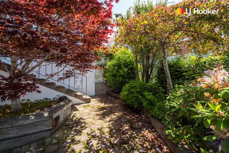 Photo of property in 12 Christie Street, Abbotsford, Dunedin, 9018