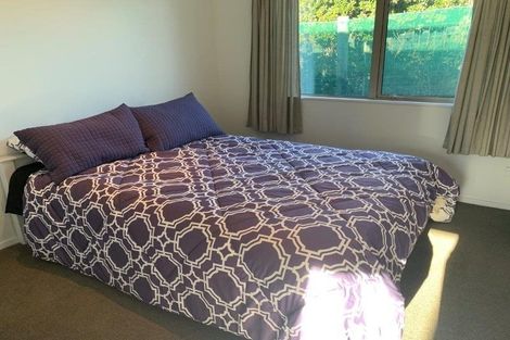 Photo of property in 59 Frye Crescent, Albert Town, Wanaka, 9305