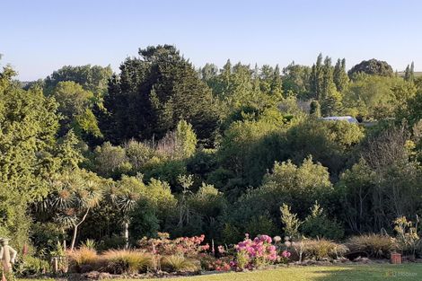 Photo of property in 22 Chaucer Street, Highfield, Timaru, 7910