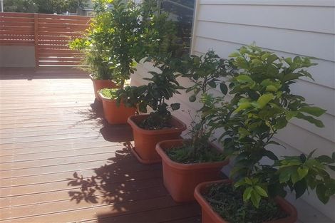 Photo of property in 15 Aubrey Street, New Plymouth, 4310