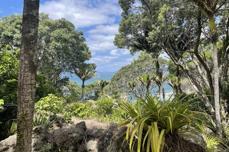 Photo of property in 14 Boulder Bay Drive, Tuateawa, Coromandel, 3583