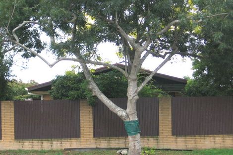 Photo of property in 61 Edmonton Road, Henderson, Auckland, 0612