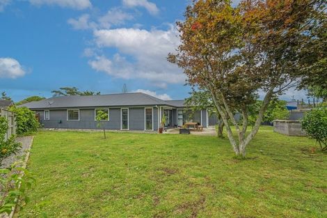 Photo of property in 153 Stanford Street North, Ashhurst, 4810