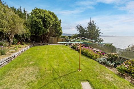 Photo of property in 142 Shag Point Road, Shag Point, Palmerston, 9482