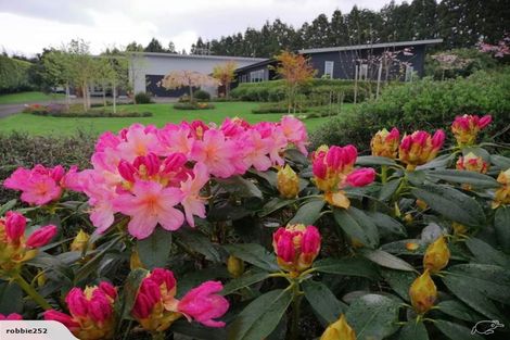 Photo of property in 243 Ross Road, Whakamarama, Tauranga, 3179