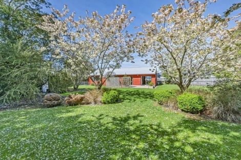 Photo of property in 27 Carston Street, Leeston, 7632