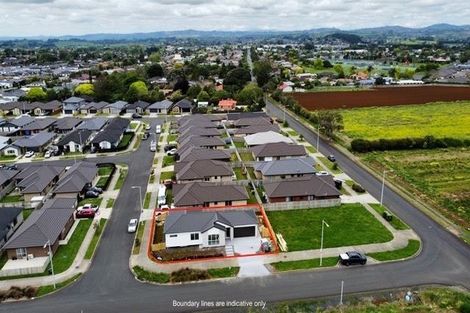 Photo of property in 20 Maxwell Road, Pukekohe, 2120