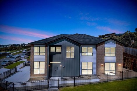 Photo of property in 1 Elevation Street, Flat Bush, Auckland, 2019