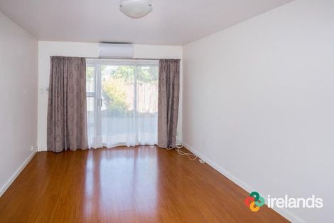 Photo of property in 2/162 Chester Street East, Christchurch Central, Christchurch, 8011
